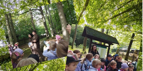 2a i 2c w Nadleśnictwie Karnieszewice