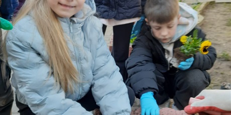 Kwiatki, bratki i stokrotki klasy 2c