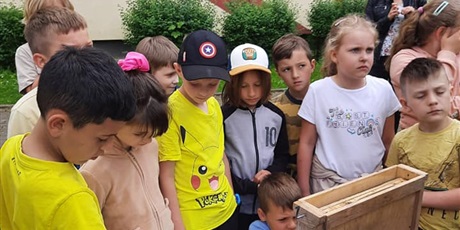 Światowy Dzień Pszczół w 1c